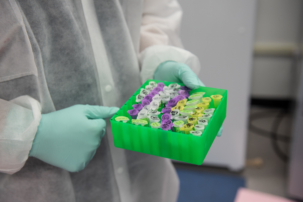 a green box carrying test tubes in a person's hand